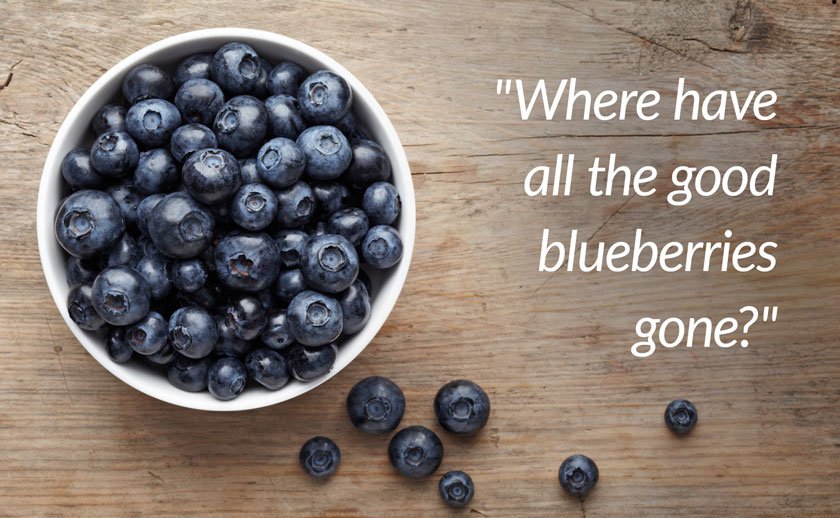 Blueberry quality control blog